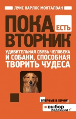 Монталван Л.. Пока есть Вторник. Удивительная связь человека и собаки, способная творить чудеса